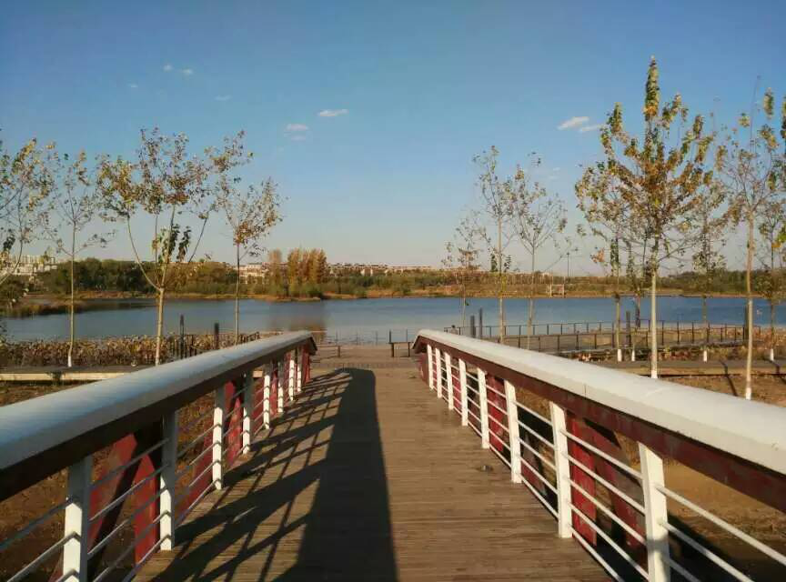 f_c7c00f691593593ad4f2f957590d3ac2 f_c7c00f691593593ad4f2f957590d3ac2